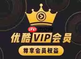 �ſ�VIP��Ա����ͬʱʹ�õķ���