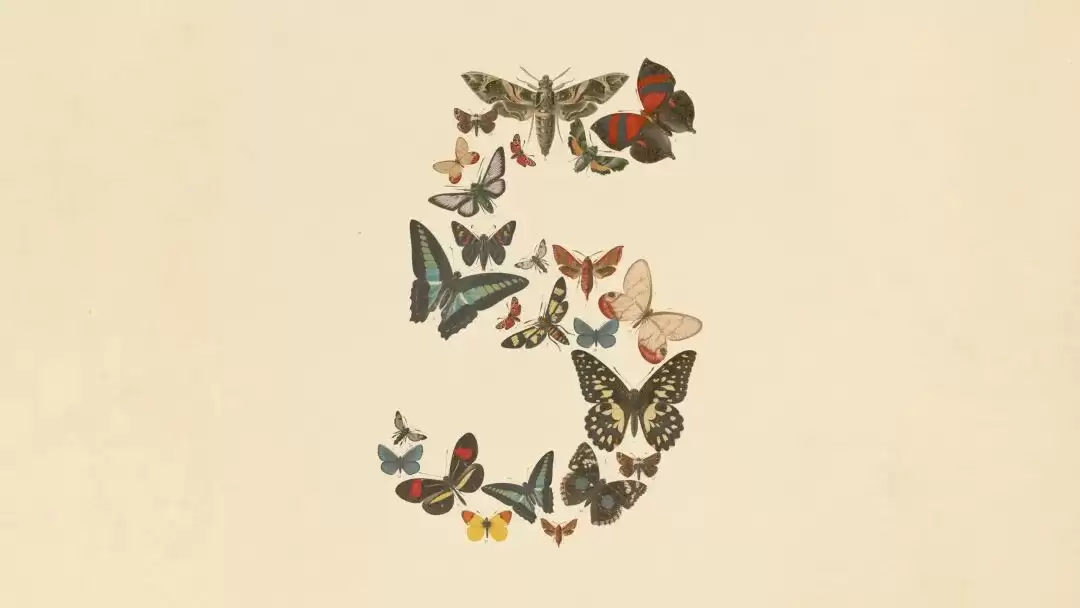 Anthropic���ƺ˼������ƣ�Claude Fable 5�����AIȨ��ʱ��