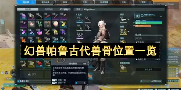 ������³�Ŵ��޹�ȫλ�û�ȡָ��