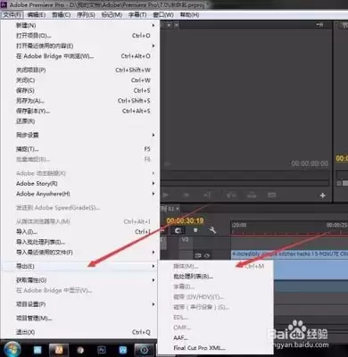 Premiere CC������Ƶʱ����޸ı���λ��