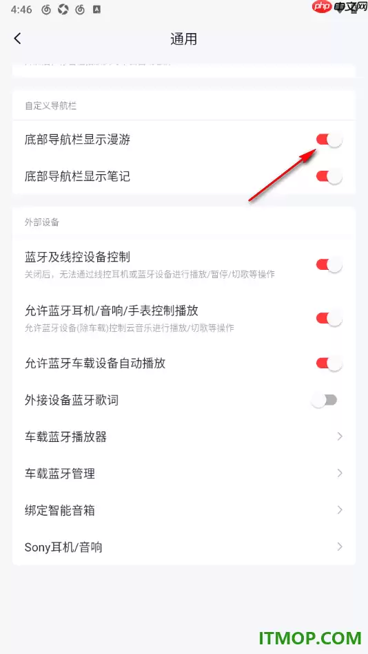 网易云音乐手机版隐藏底部导航栏漫游设置_wishdown.com 网易云音乐手机版隐藏底部导航栏漫游设置_wishdown.com