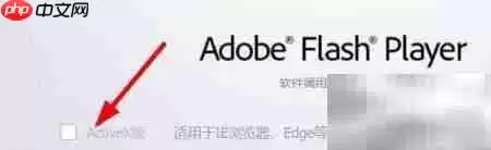 һ����Flash����ActiveX��������װ������ϸ����ָ��