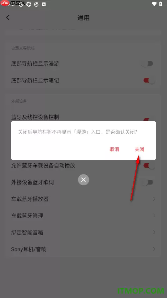 网易云音乐手机版隐藏底部导航栏漫游设置_wishdown.com 网易云音乐手机版隐藏底部导航栏漫游设置_wishdown.com