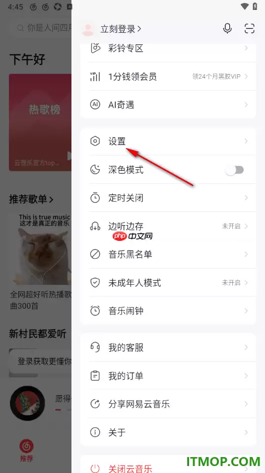 网易云音乐手机版隐藏底部导航栏漫游设置_wishdown.com 网易云音乐手机版隐藏底部导航栏漫游设置_wishdown.com