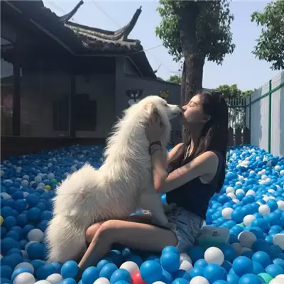游戏女生霸气网名精选100个|起名灵感与含义解析_wishdown.com 游戏女生霸气网名精选100个|起名灵感与含义解析_wishdown.com