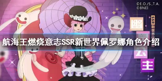 ������ȼ����־SSR�����������Ƚ�ɫ���