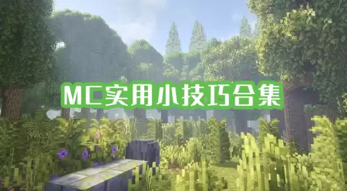 �ҵ�����ȫ�汾�ر�ʵ��С���ɾ�ѡ�ϼ�