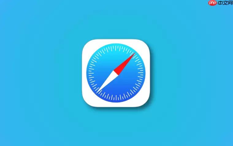 Safari�����CSS�����뿪��ǩҳ����ͣ�������