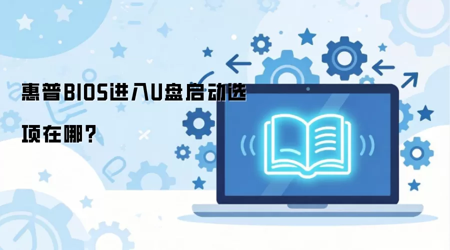 ���յ��Խ���BIOS����U����������