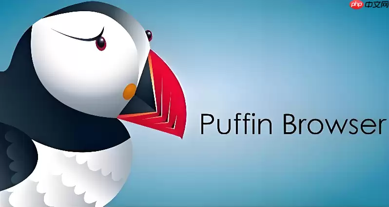 Puffin������ٷ�ƽ̨�������