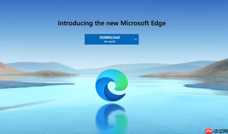 Edge��������Ӳ���ȫ�޷���ת�Ľ������