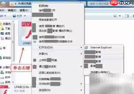 优酷FLV视频播放方法详解_wishdown.com 优酷FLV视频播放方法详解_wishdown.com