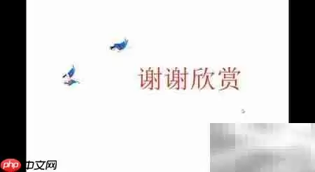 优酷FLV视频播放方法详解_wishdown.com 优酷FLV视频播放方法详解_wishdown.com