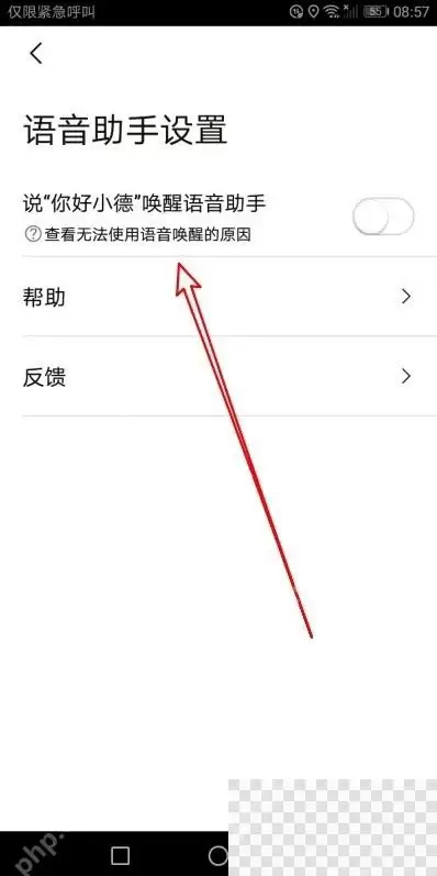 高德地图语音唤醒功能如何开启_wishdown.com 高德地图语音唤醒功能如何开启_wishdown.com