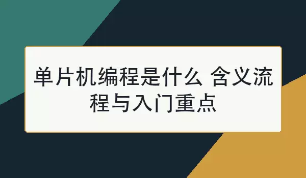 ��Ƭ�������ʲô ���������������ص�