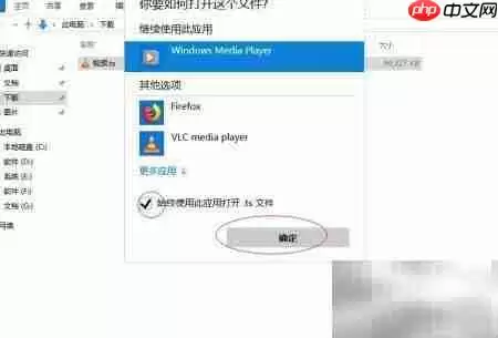 TS文件打开方法详解_wishdown.com TS文件打开方法详解_wishdown.com