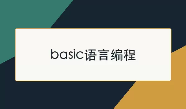 basic���Ա��