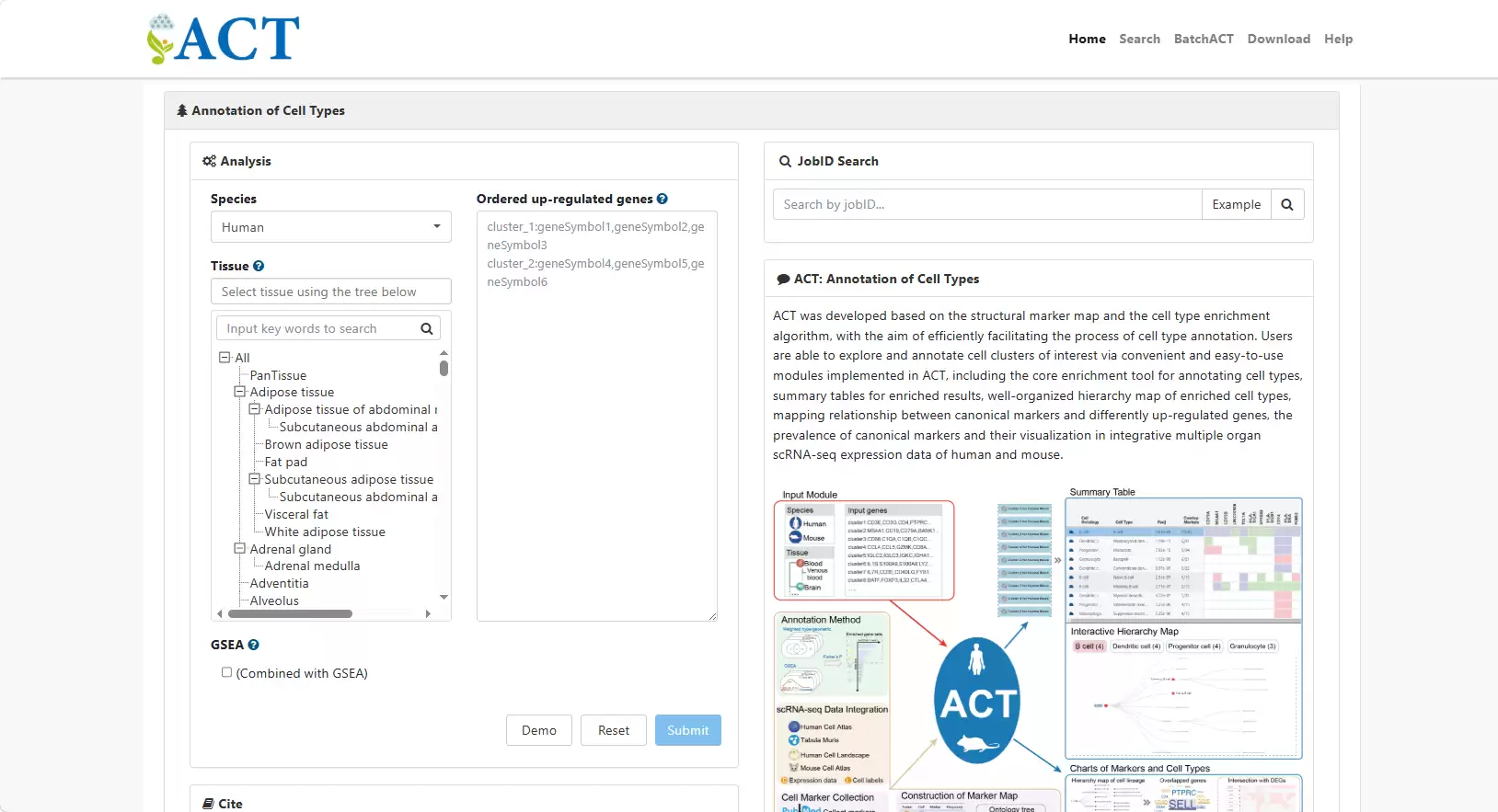 单细胞注释与功能解读在线工具实战指南:ACT、CellMarker等_wishdown.com 单细胞注释与功能解读在线工具实战指南:ACT、CellMarker等_wishdown.com