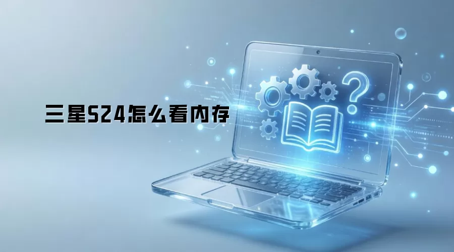 ����S24�鿴�ڴ淽��