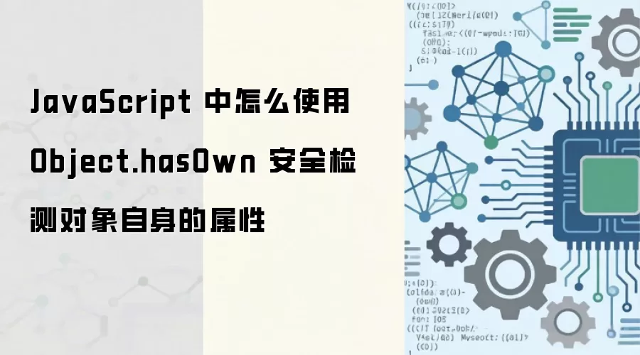 JavaScript中如何使用Object.hasOwn安全检测对象自身属性_wishdown.com Ja vaScript 中怎么使用 Object.hasOwn 安全检测对象自身的属性