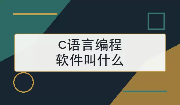 c���Ա��������ʲô