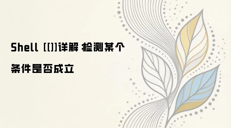 Shell��[[ ]]�����ж��÷����������������