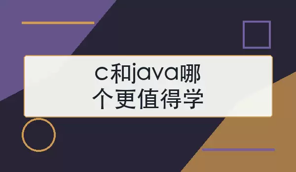 C��Java�ĸ���ֵ��ѧ