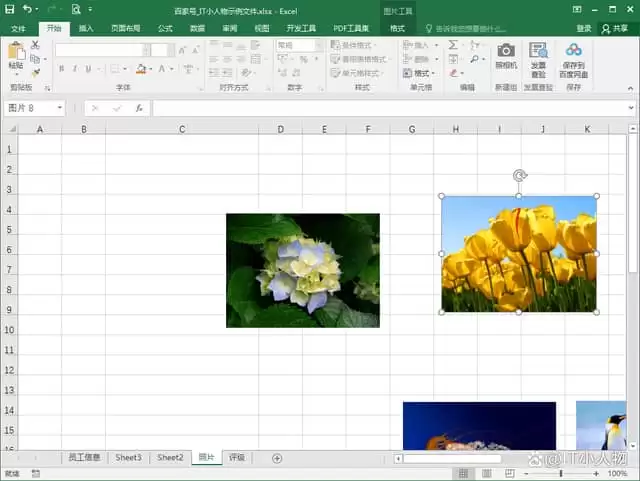 Excel���������ͼƬ�뵥Ԫ��߿�׼����