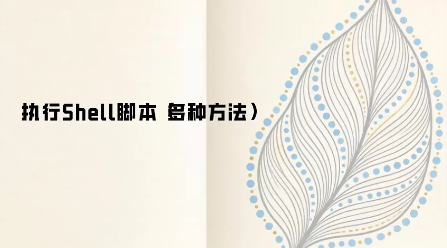 ִ��Shell�ű��Ķ��ַ����볣���������