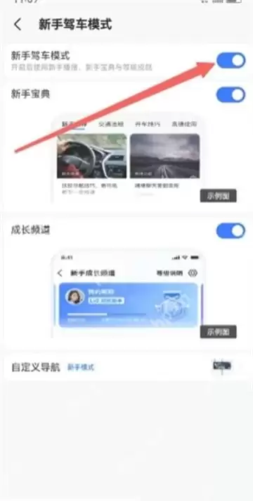 高德地图新手模式怎么设置与开启方法_wishdown.com 高德地图新手模式怎么设置与开启方法_wishdown.com