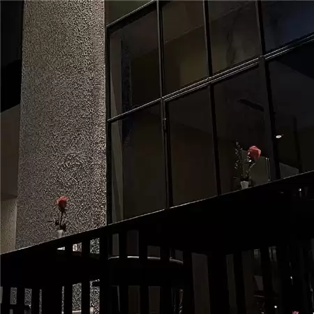 �˸������ɻ��İ�������ѡ100��