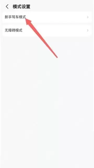 高德地图新手模式怎么设置与开启方法_wishdown.com 高德地图新手模式怎么设置与开启方法_wishdown.com