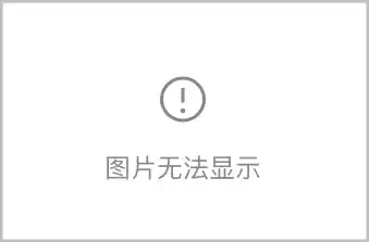 ��Windows��Codex App���ڰ�װ�̳�������ָ��