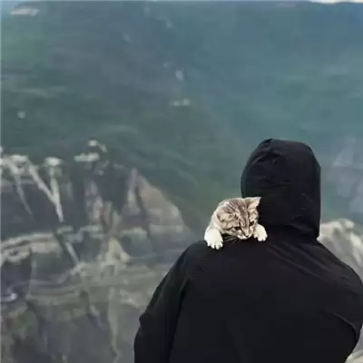 ������Ц������ע������ѡ100���Ƽ�