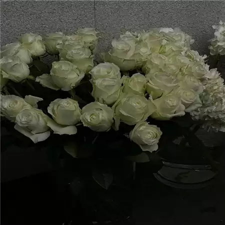 ��������˸�������ѡ100�� �����ָ��������Ƽ�