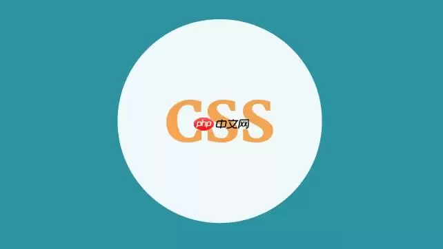 CSS�����ʽ��IE���ִ����������_���cursor����ǰ׺����