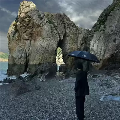 ����ʫ����������ǳƾ�ѡ100���Ƽ�