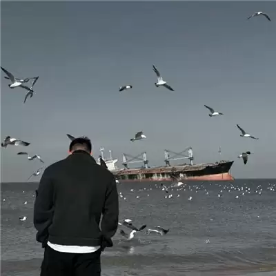 �򵥸ɾ����������������ѡ100��