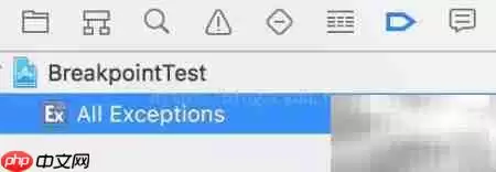掌握iOS断点调试的实用技巧与高效方法_wishdown.com 掌握iOS断点调试的实用技巧与高效方法_wishdown.com