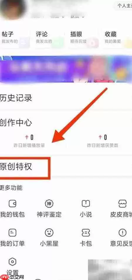 皮皮虾原创特权查看方法全面详解步骤指南_wishdown.com 皮皮虾原创特权查看方法全面详解步骤指南_wishdown.com