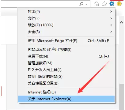 IE�����������IE11����ϸ�������������