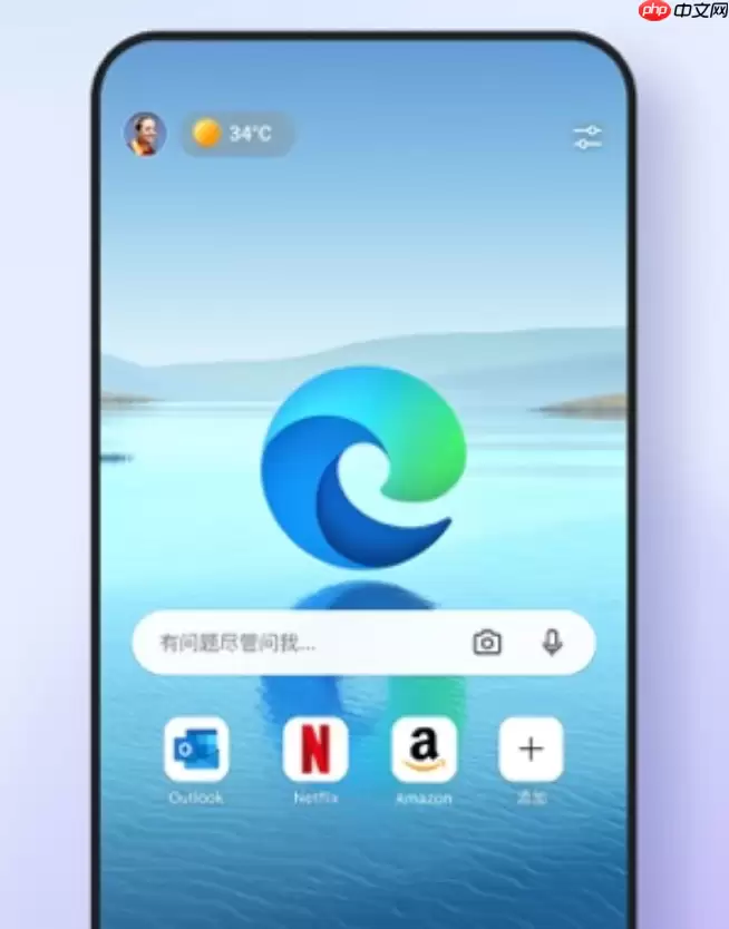 Edge浏览器集锦离线访问设置教程_wishdown.com Edge浏览器如何开启集锦Collections的离线访问本地缓存支持_Edge浏览器集合无网查看