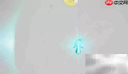 ����ÿ�����������ɹ���