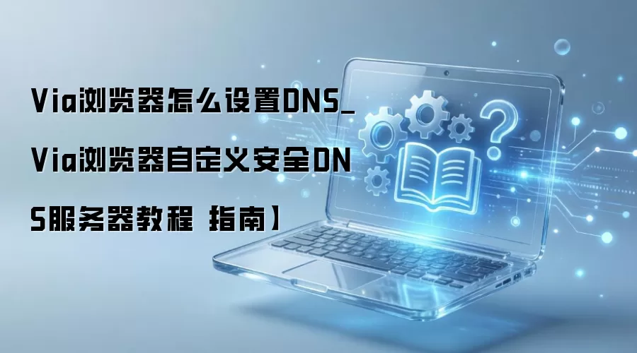 Via������Զ��尲ȫDNS�������ְ������ý̳�