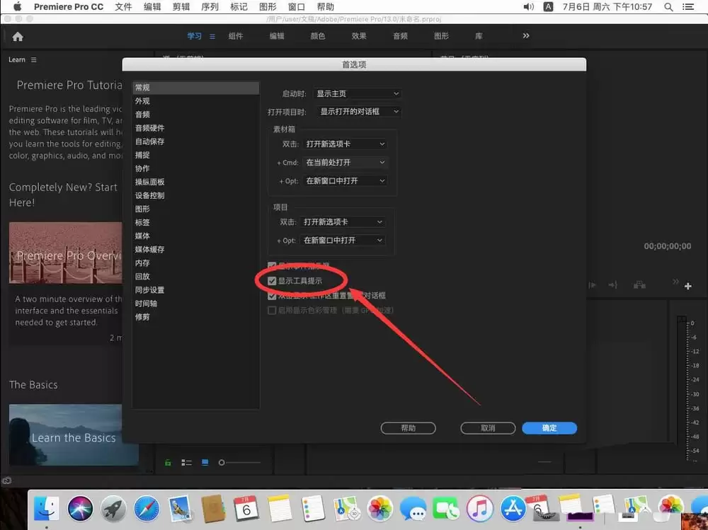 Premiere Pro 2019关闭工具提示的详细操作方法_wishdown.com Premiere Pro 2019怎么取消工具提示选项