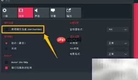 Splash播放器开启硬件加速教程_wishdown.com Splash设置窗口中的视频功能选项卡