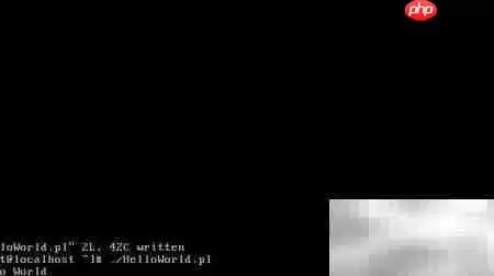 Linux下使用Perl编写HelloWorld完整教程_wishdown.com 添加换行符后的Perl脚本运行效果