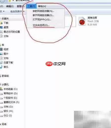Flash导出FLV格式的正确方法与常见误区纠正_wishdown.com 项目文件夹中生成的FLV文件图标