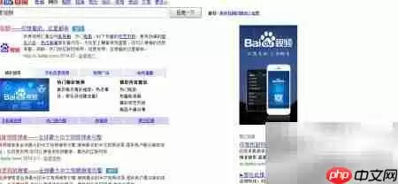 百度视频超级VIP开通全流程:入口、支付与权益解析_wishdown.com 百度APP首页视频入口界面