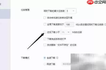 迅雷小文件优先下载设置教程_wishdown.com 智能下载区域中已勾选优先下载小于指定大小的任务复选框